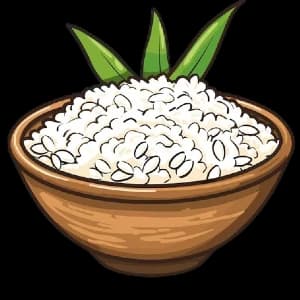 Rice — چاول