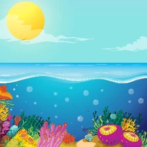 Ocean — سمندر